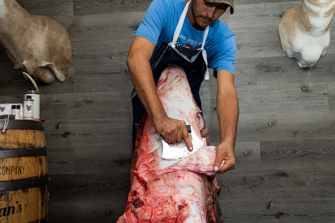 Fleshing Elk Hide
