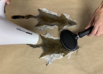 fluffing squirrel skin