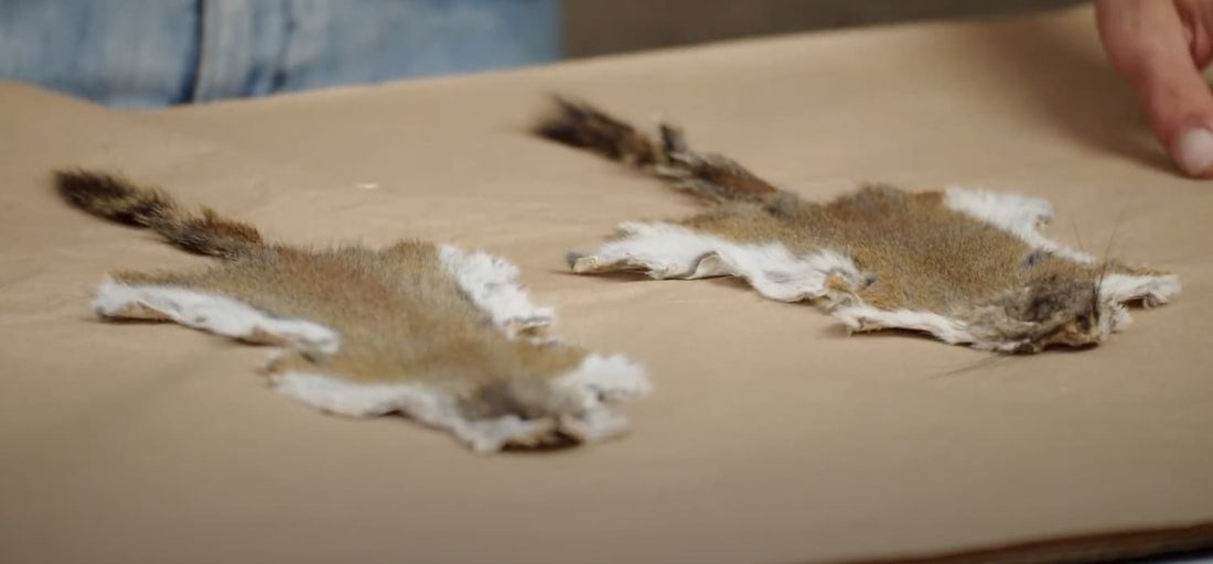 How to tan a squirrel skin part 1