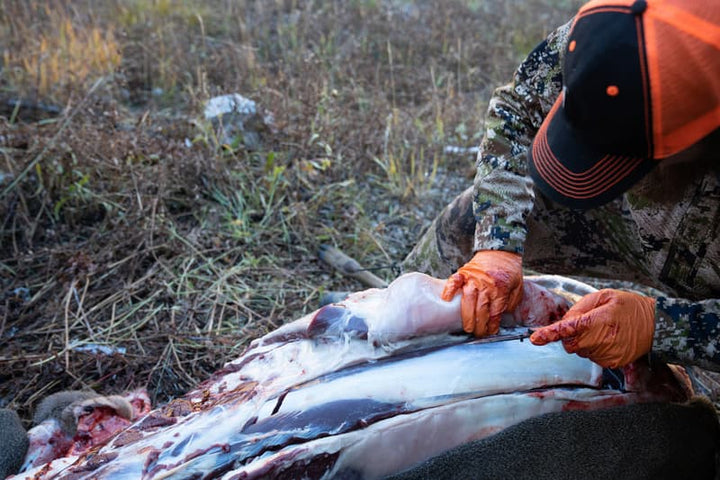 Proper Field Care: How to Protect Your Meat and Save Your Hide for Tax ...