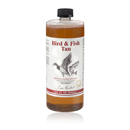 Bird & Fish Tan