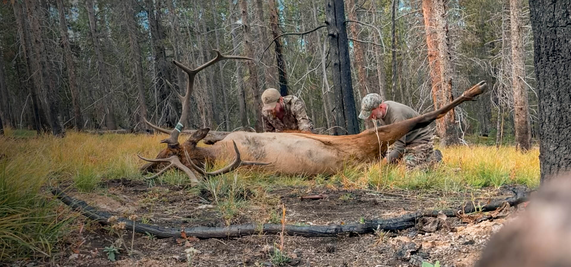 slider image slider_item_KBp3wp