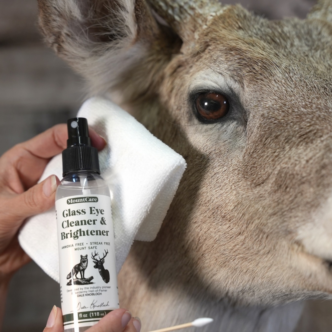 photo of mountcare kit products for cleaning taxidermy mounts