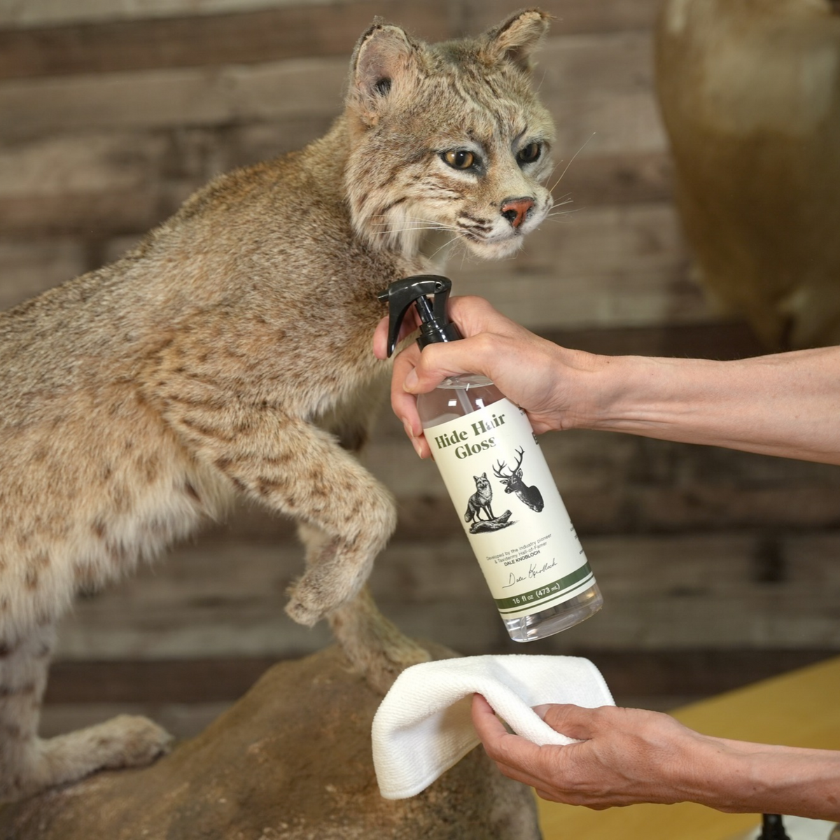 using hide hair gloss on bobcat fur to clean taxidermy mounts