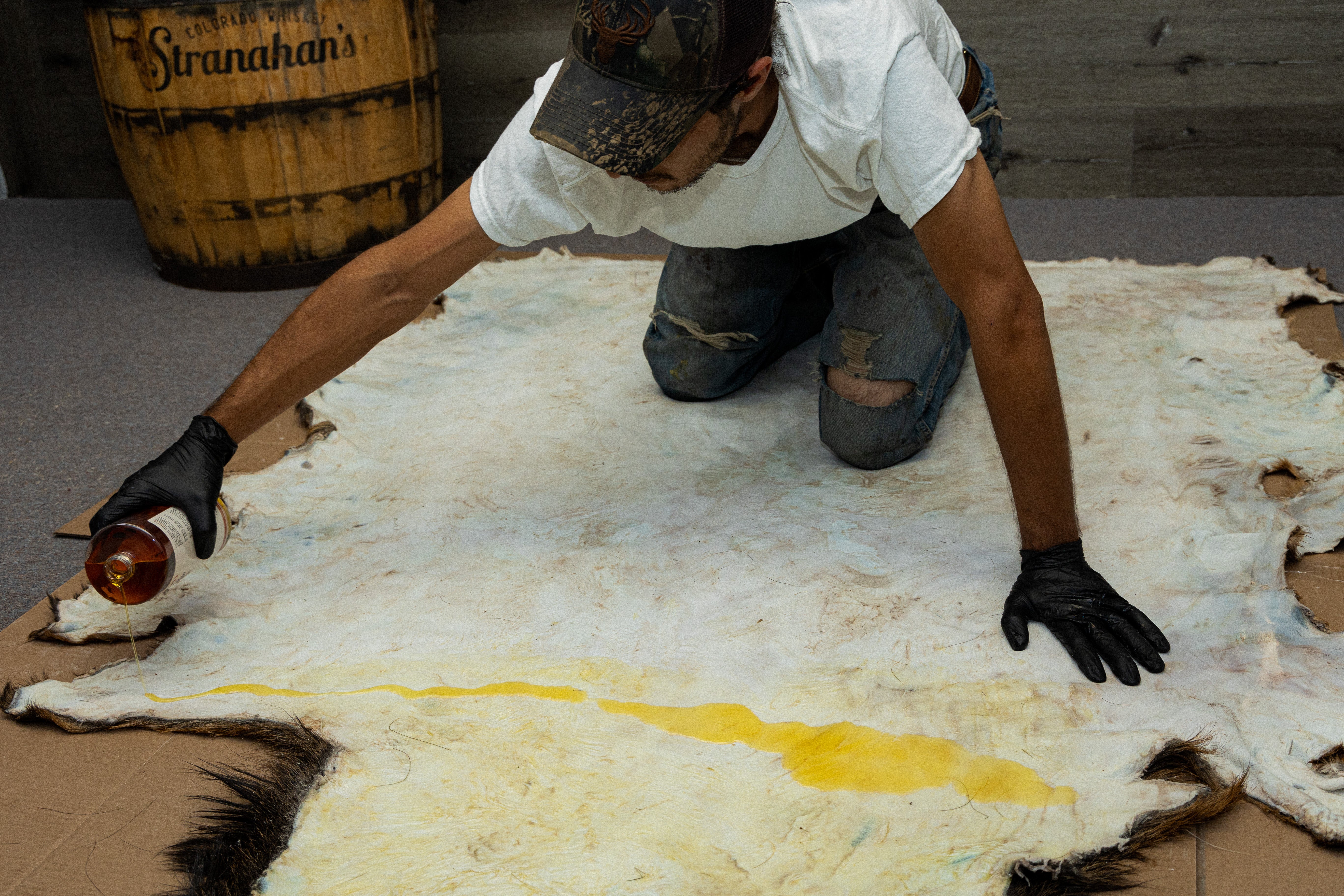 Worker pours hide oil onto an animal hide to prep for taxidermy