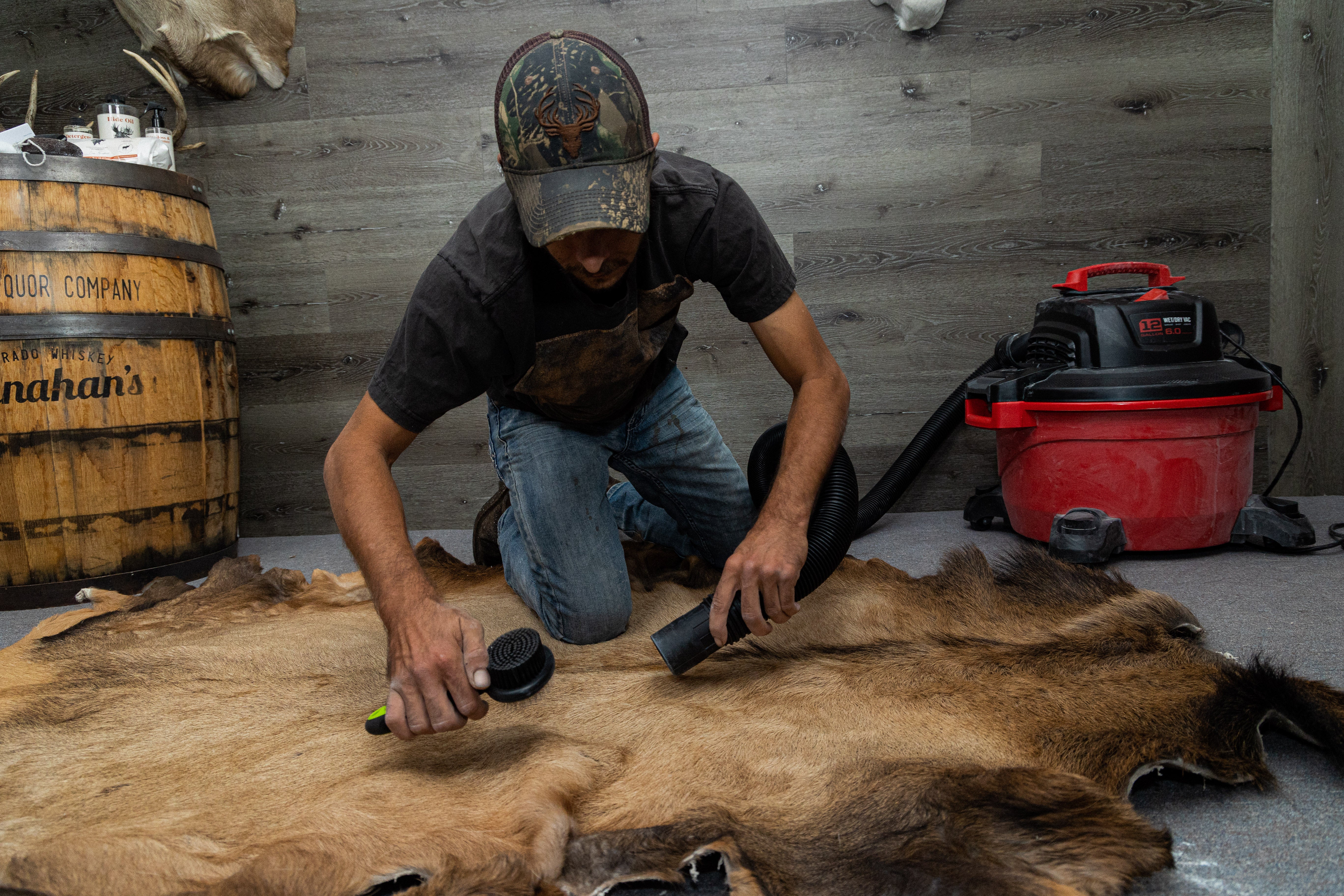 Worker uses a brush on an animal hide